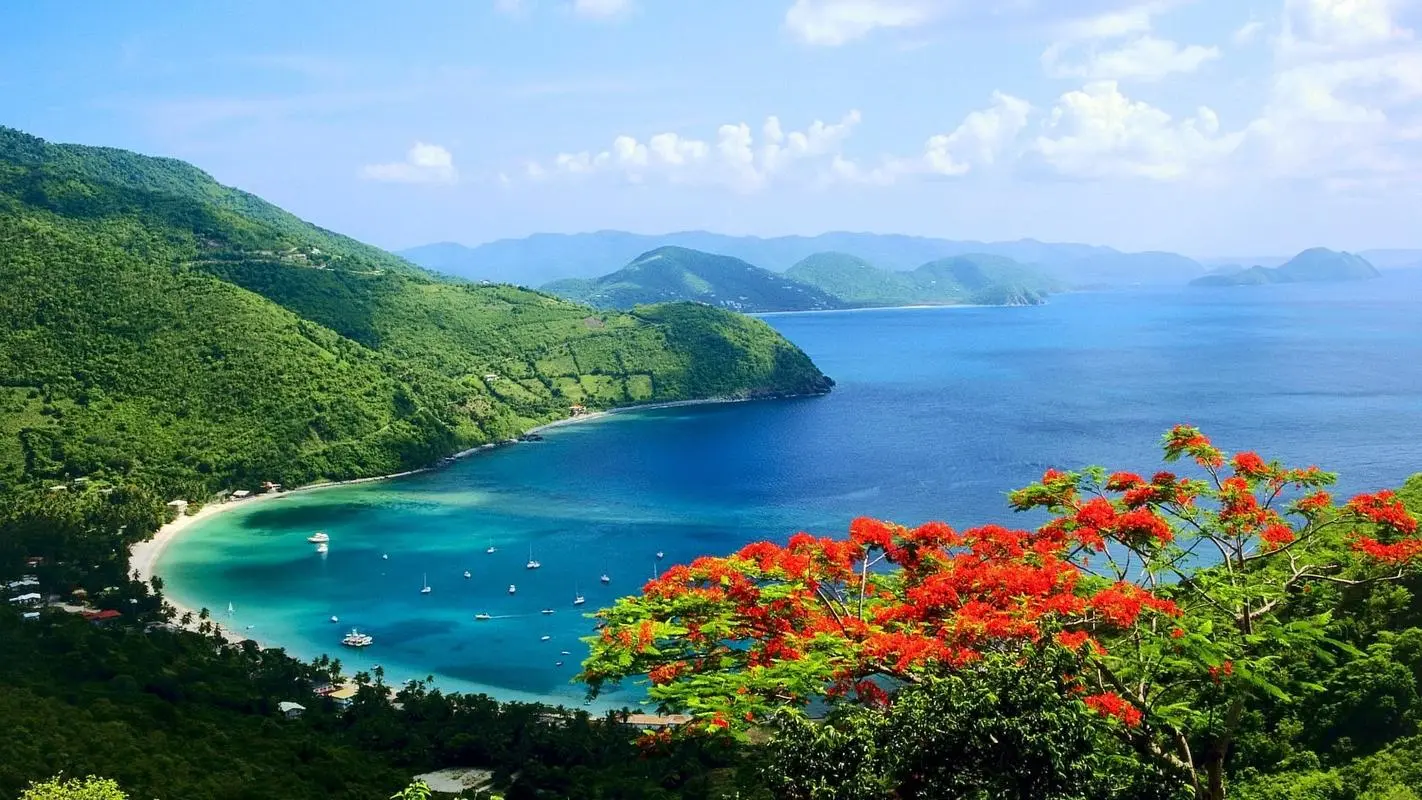 高精度高精度全自动